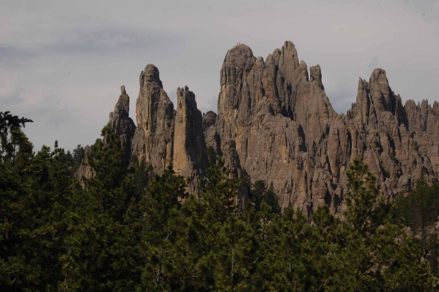 the Black Hills along Needles Highway